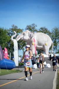 BIB: 
                            <button type="button" onclick="openModal(26543393)" class="btn btn-primary btn-sm float-right btn-popup" data-toggle="modal" data-target=".modal-high-quality">
                        <i class="fas fa-shopping-cart"></i> Add to Cart
                    </button>
                                            <button type="button" onclick="isThisMe(26543393, true)" class="btn btn-success btn-sm float-right btn-popup btn-isme hidden" data-toggle="tooltip" data-placement="bottom" title="นี่คือรูปของคุณใช่ไหม คลิกที่นี่เพื่อเอาเข้าอัลบั้ม">
                        <i class="fas fa-plus"></i> Add to album
                    </button>
                    <button type="button" onclick="isThisMe(26543393, false)" class="btn btn-warning btn-sm float-right btn-popup btn-isnotme hidden">
                        <i class="fas fa-ban"></i> Remove from album
                    </button>